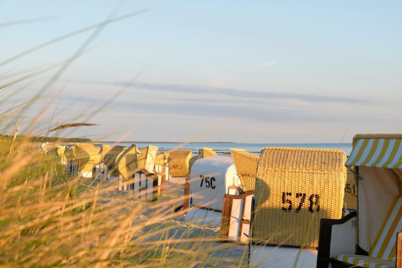 Hotel Meerlust Zingst Extérieur photo